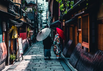 person walking on street while holding umbrella photo