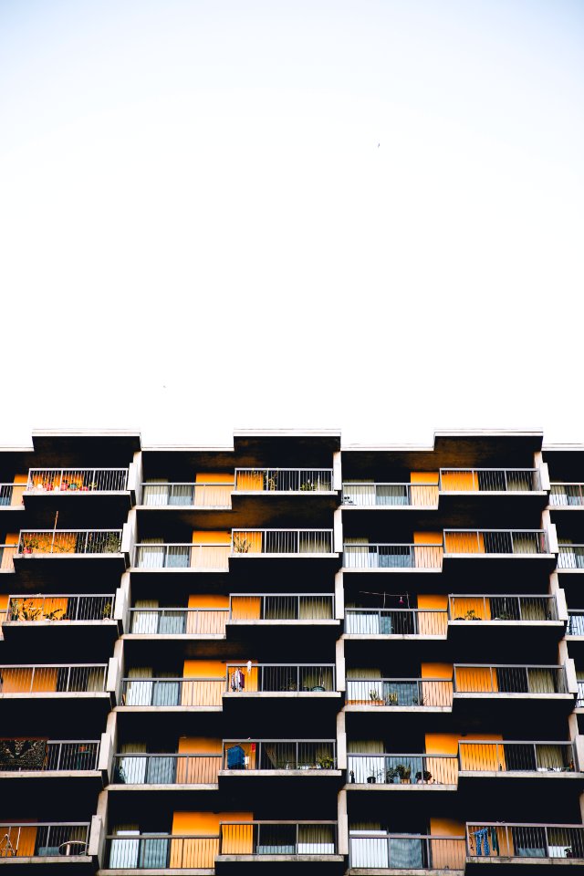 Los angeles, United states, White