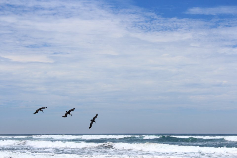 Playa azul, Mexico, Fly photo