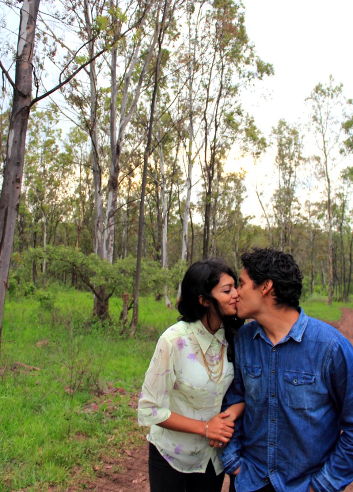 Marriage, Forest, Tree