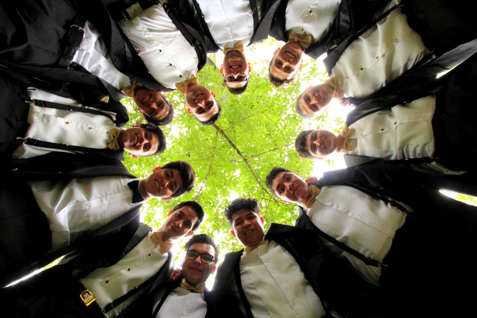Friends, Tree, Wedding