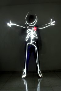 Lightbulb, Bones, Skeleton photo