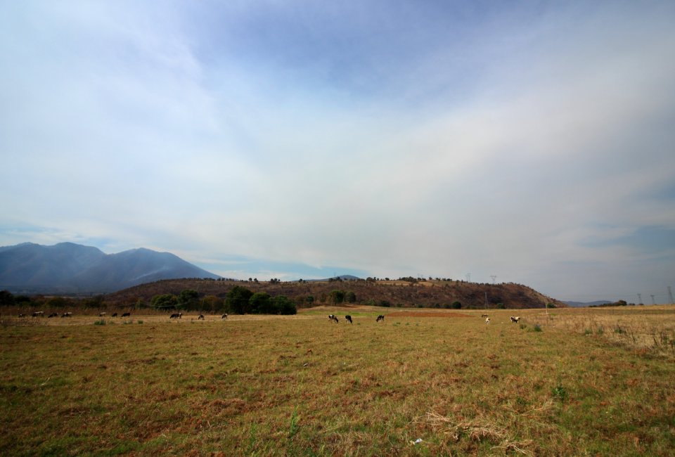 Panoramic, Green, Grass