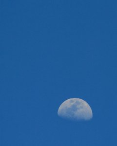 Telephoto, Grey, High