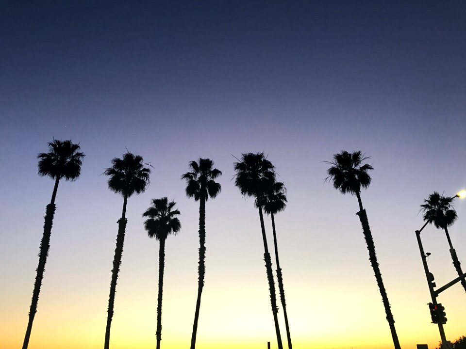Huntington beach, United states, Pier