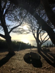Rancho palos verdes, United states, Shadows