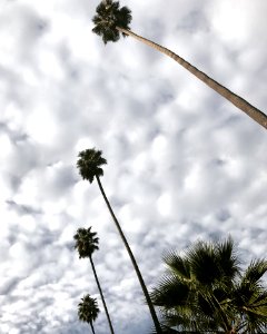 Beverly hills, United states, December