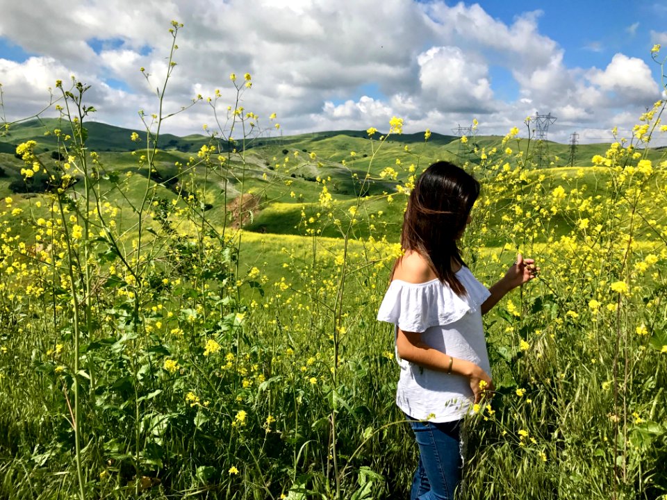 Chino hills state park, Chino hills, United states