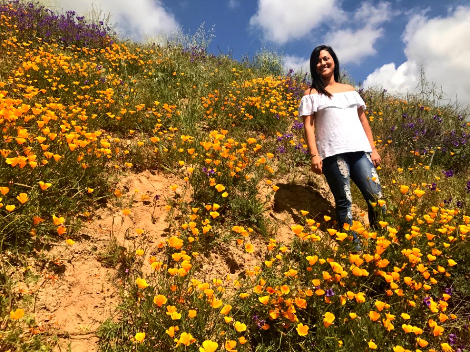 Chino hills state park, Chino hills, United states