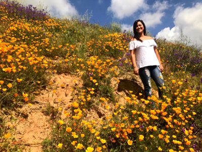 Chino hills state park, Chino hills, United states