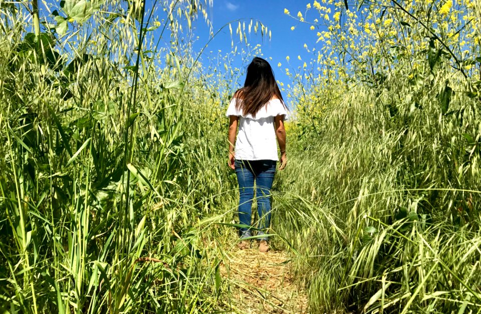 Chino hills state park, Chino hills, United states