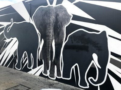 Central la, Los angeles, California