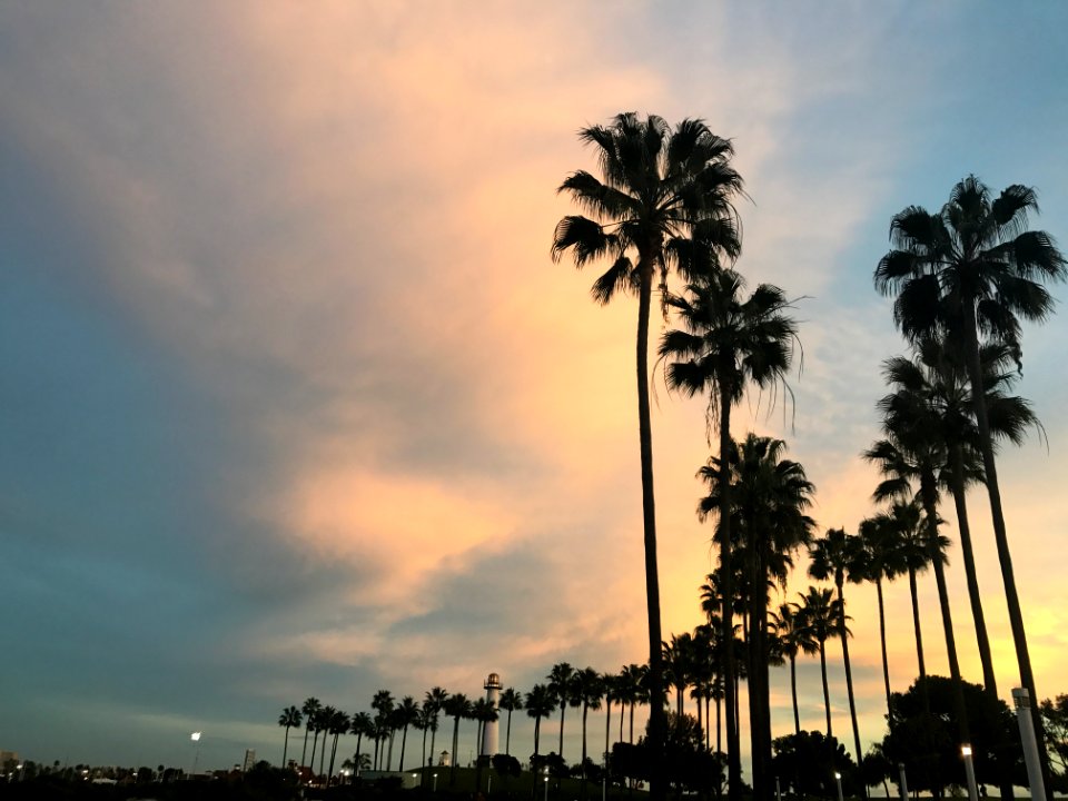 California, Downtown, Long beach