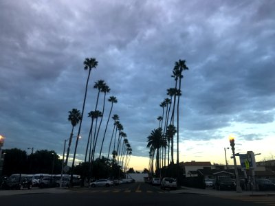 Santa monica, United states, Hues