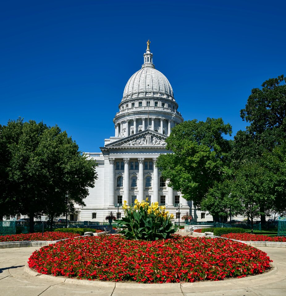 Dome architecture flowers