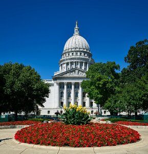 Dome architecture flowers
