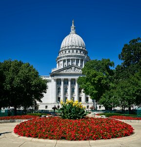 Dome architecture flowers photo