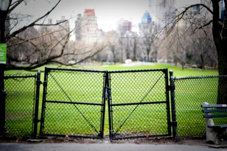 Central park, New york, United states photo