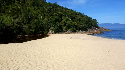 Nature caraguatatuba ubatuba photo