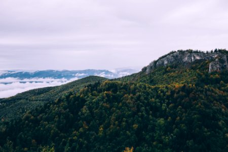 green forest on mountain near sea under cloudy sky photo
