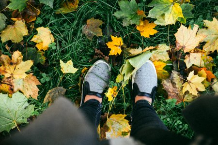 person standing on green grass photo