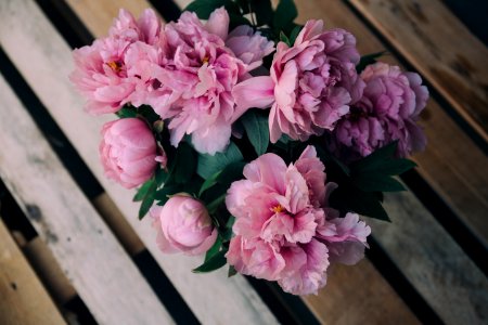 pink carnation flower arrangement on bench photo