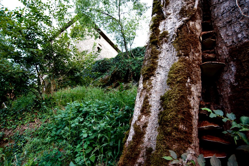 Patrica, Italy, Wallpaper