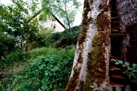 Patrica, Italy, Wallpaper