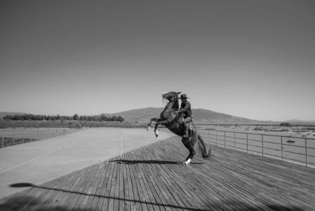 grayscale photo of man in jacket and pants riding horse photo