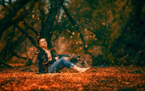 shallow focus photography of man sitting on brown dried leaves surrounded by trees during daytime photo