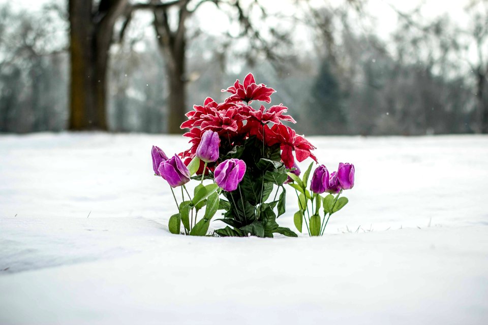 Urbana, United states, Illinois