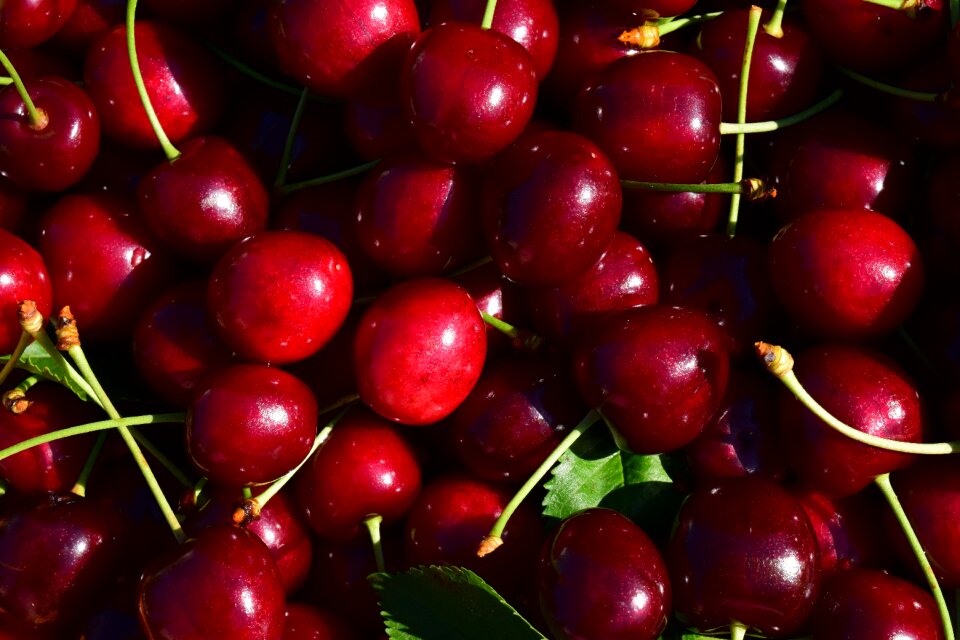 Fruit red delicious