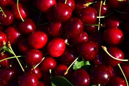 Fruit red delicious