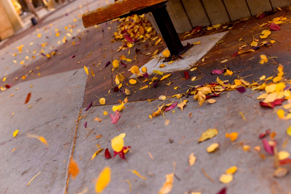 Estes park, United states, Autumn