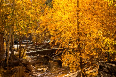 Estes park, United states, Colorado