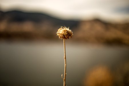 Horsetooth reservoir, United states, Hiking