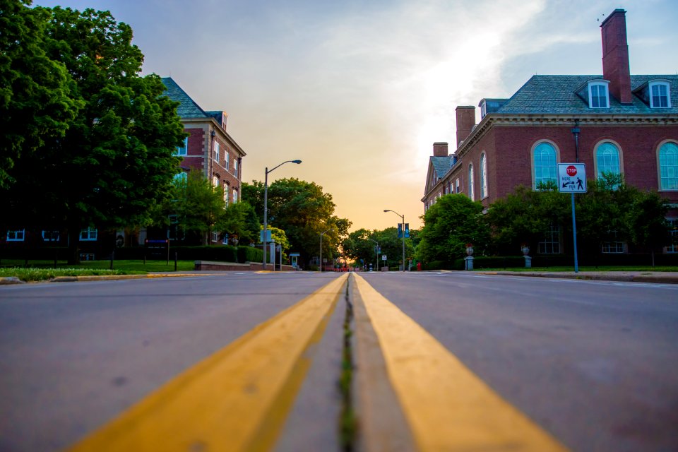 worm's-eye view of road