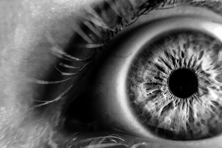 Eye lashes iris macro photo