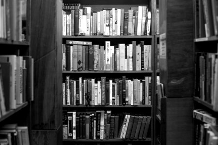 Champaign, United states, Shelf