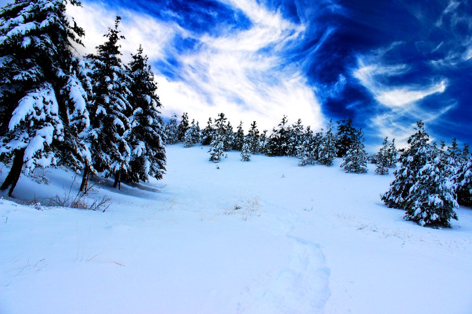 Winter wonderl, United states