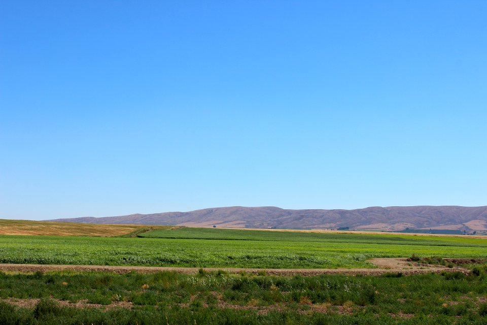 Eastern wa, Eastern washington, United states