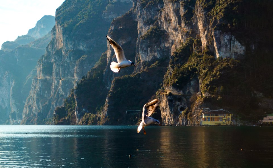 Lake garda, Italy, Sun