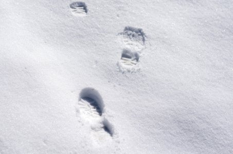 Feet, Snow, Foot