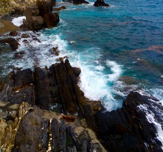 Nervi, Genova, Liguria photo