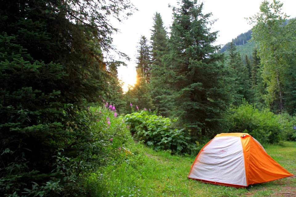 Nature, Montana, United states