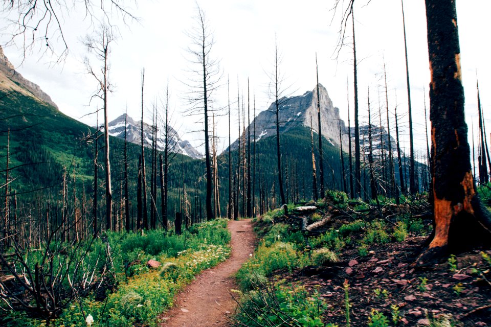 Nature, Montana, United states