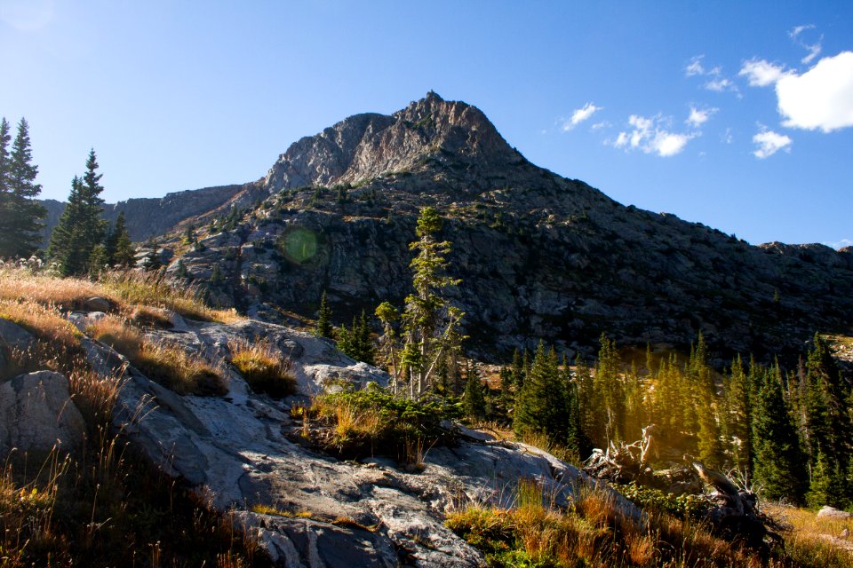 Holy cross wilderness, Mountain, Forest