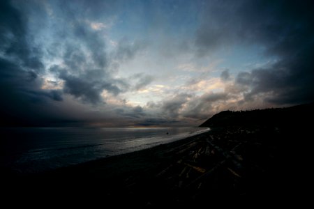 seashore during daytime