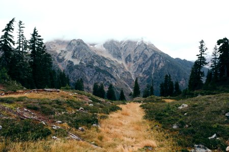 National forest develop rd 3065 trail, Washington, Usa