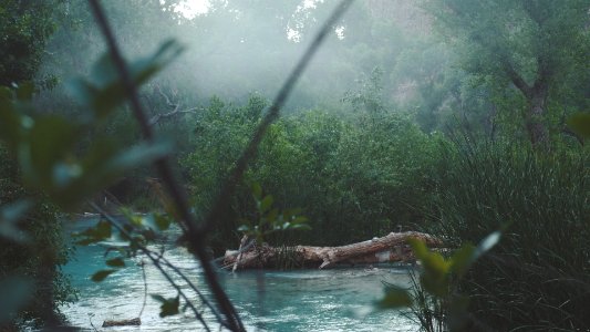 Havasu falls, United states, Creek